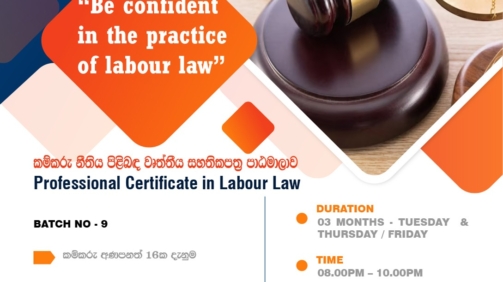 Labor Law Workshop